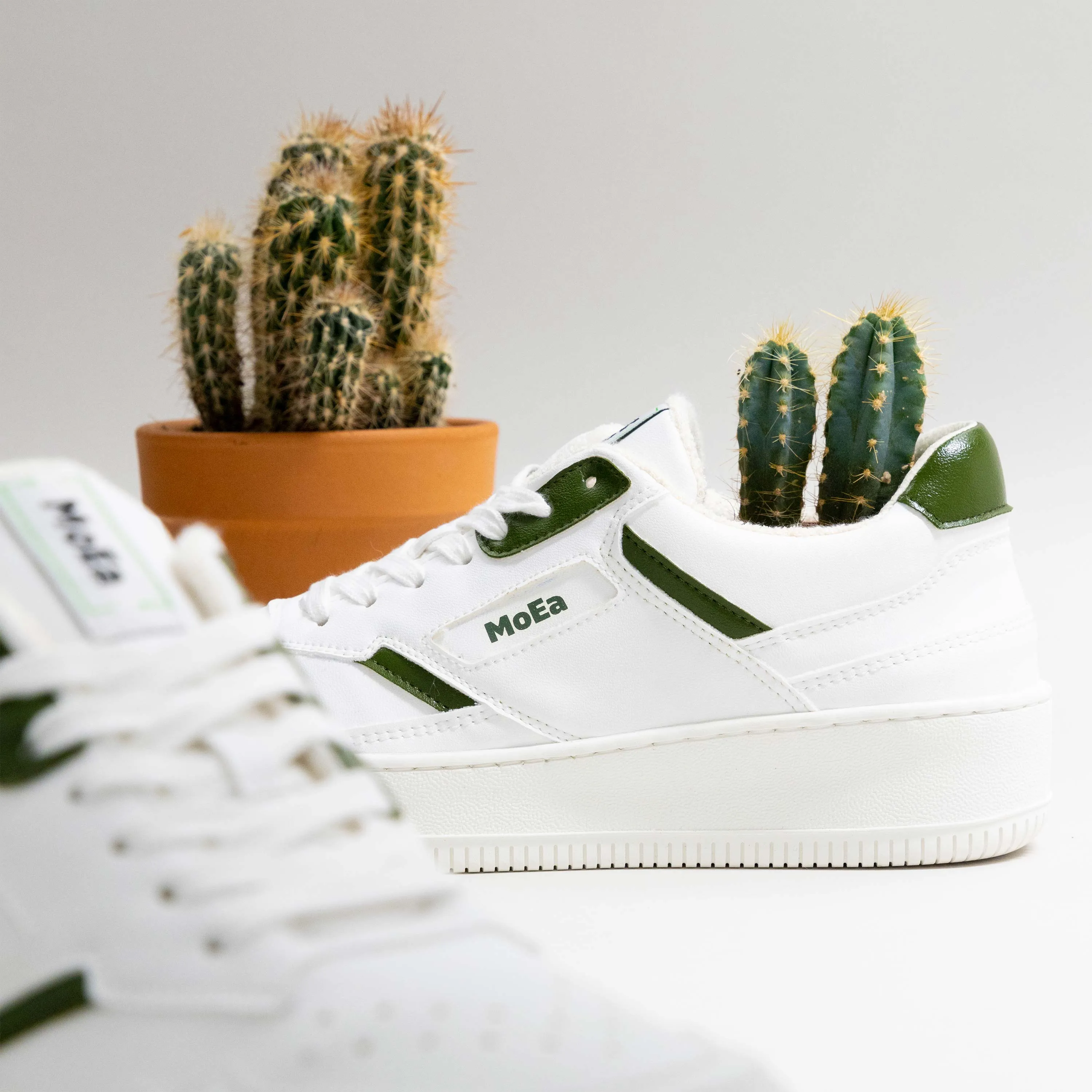 GEN1 - Cactus White & Green