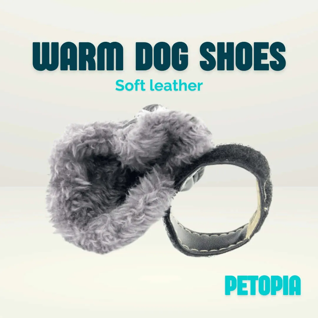 Warm Dog Shoes