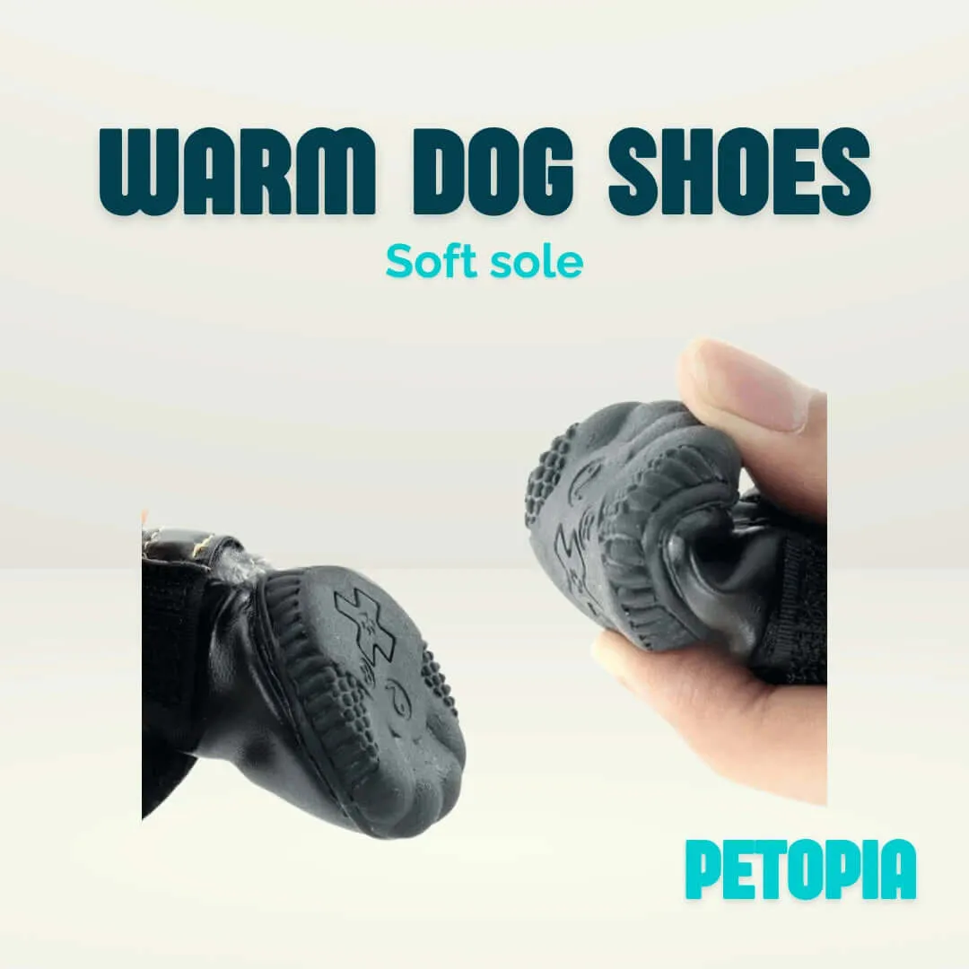 Warm Dog Shoes